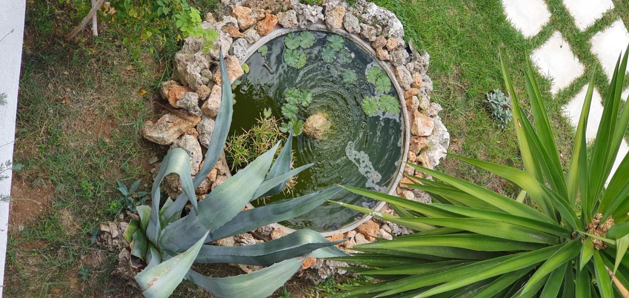 Irini Studios Georgioupoli Ngoại thất bức ảnh